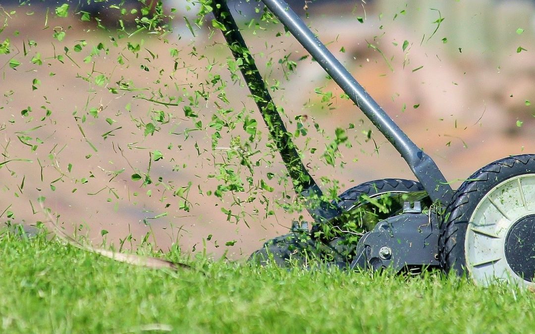 stock photo of a mechanical lawn mower cutting green grass